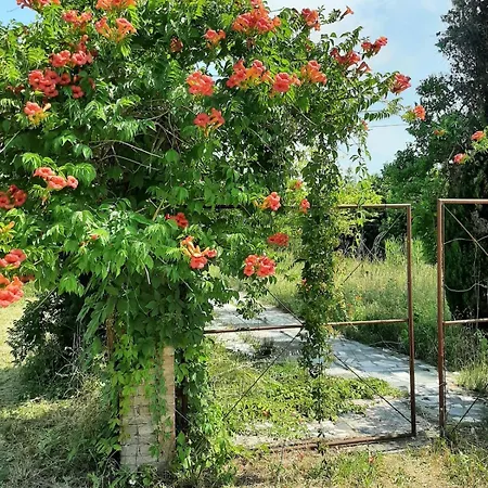 아파트 In Sant'erasmo Venice 3 *