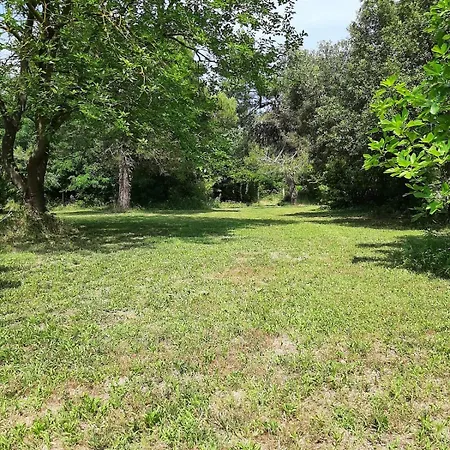 In Sant'erasmo Venice 3 Appartement *