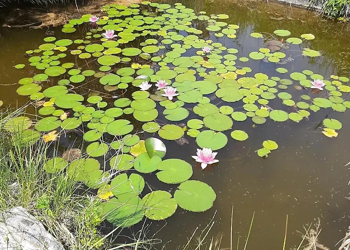 In Sant'erasmo Venice 3 Sant'Erasmo (Venice)